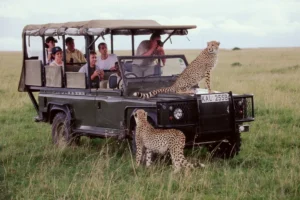 Swahili International Tourism Expo set for October in Tanzania
