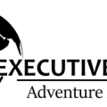 Executive Pulse Logo